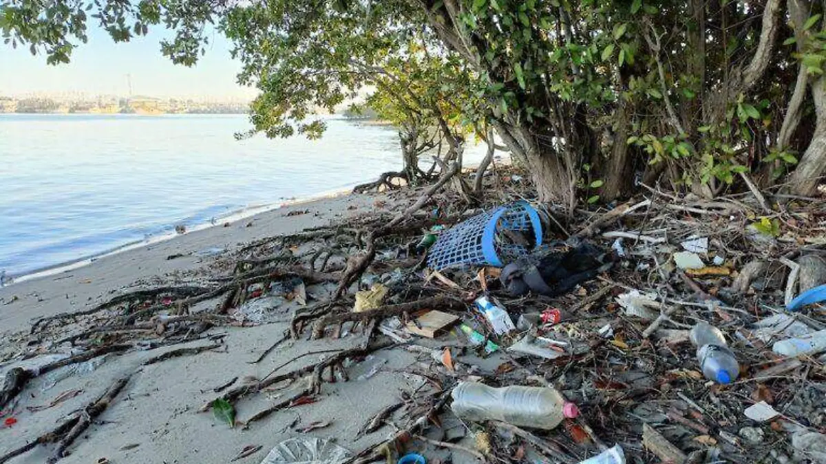 basura-plastica-abunda-interior-manglares