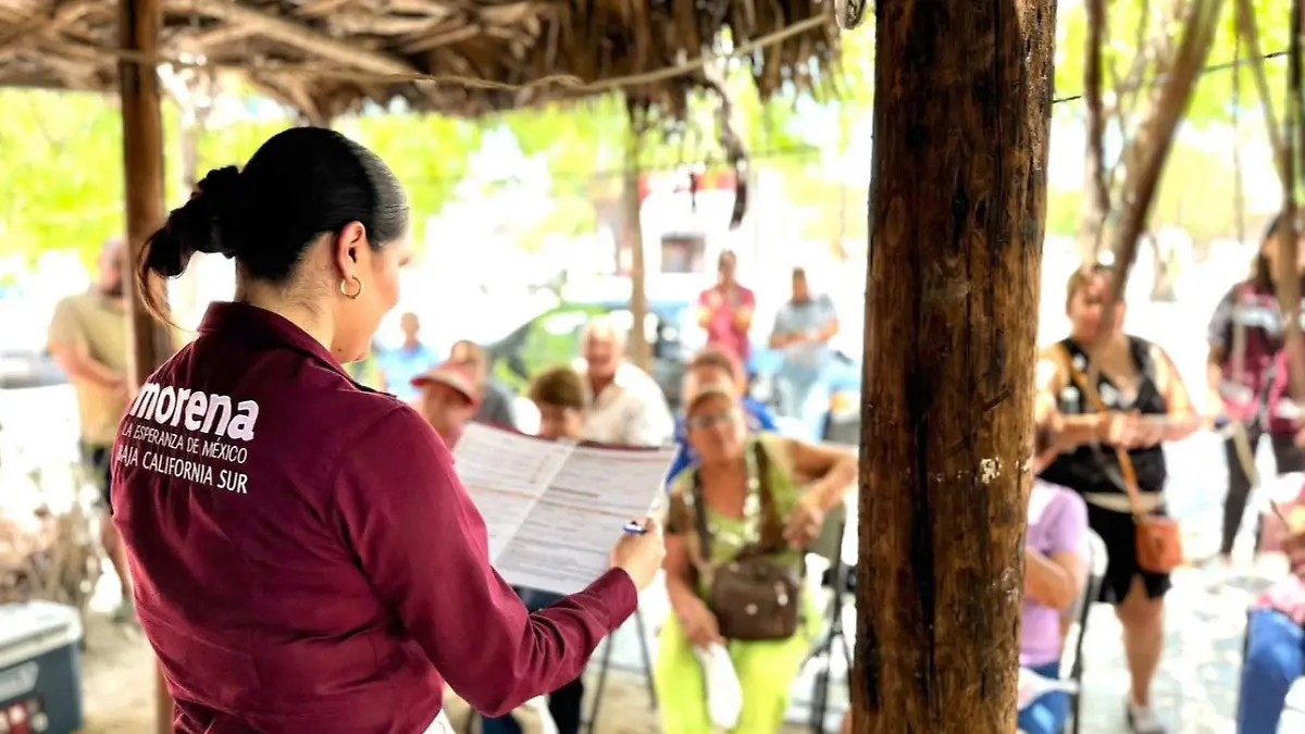 seccionales de Morena en BCS