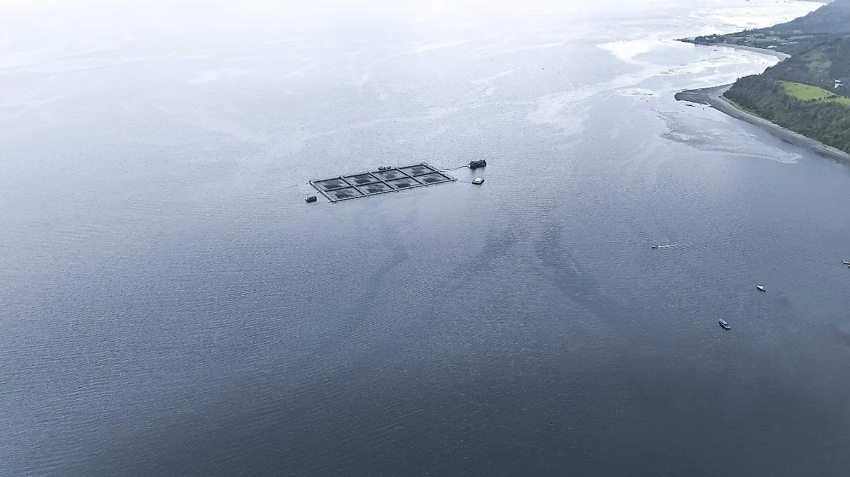 Instalacion industria Salmonera