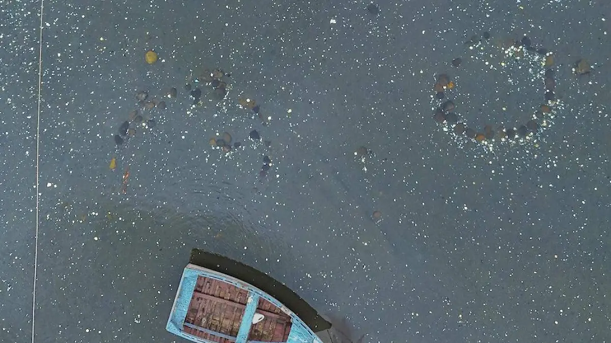 Vivero practica conservacion mariscos