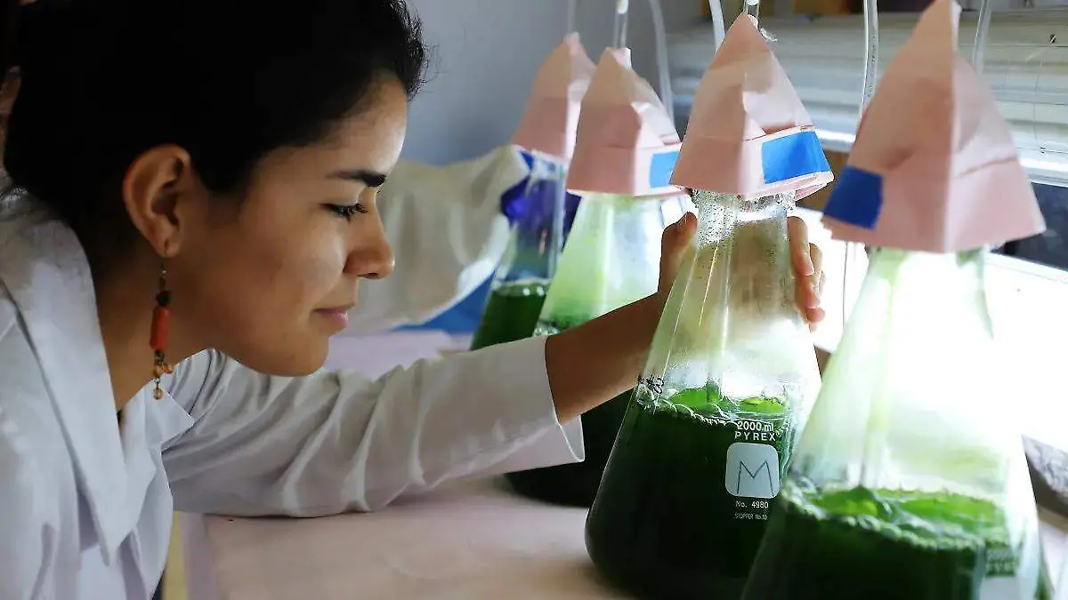 ciencia y tecnología