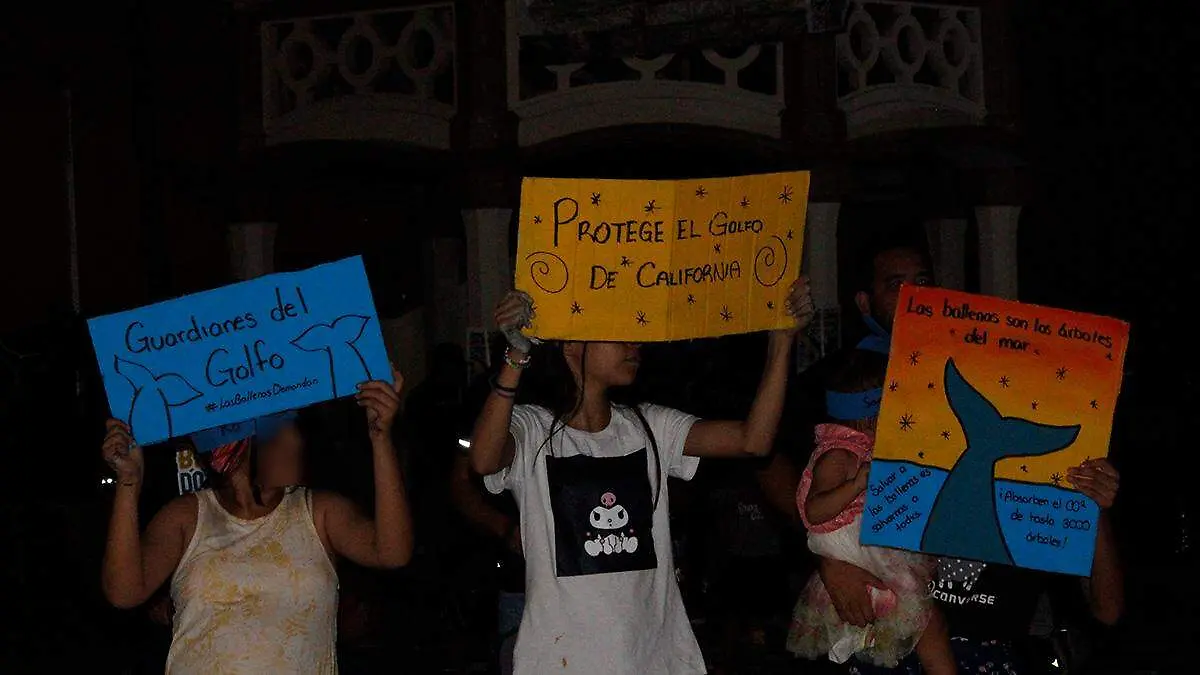 protesta-malecon-la-paz-ballena