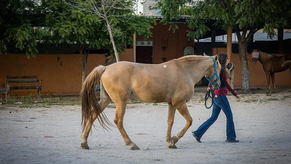 caballs-escaramuza-baja-california-sur