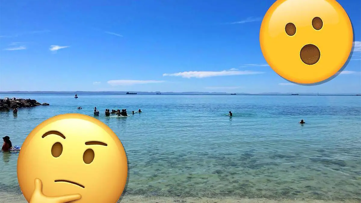 Datos curiosos de bcs