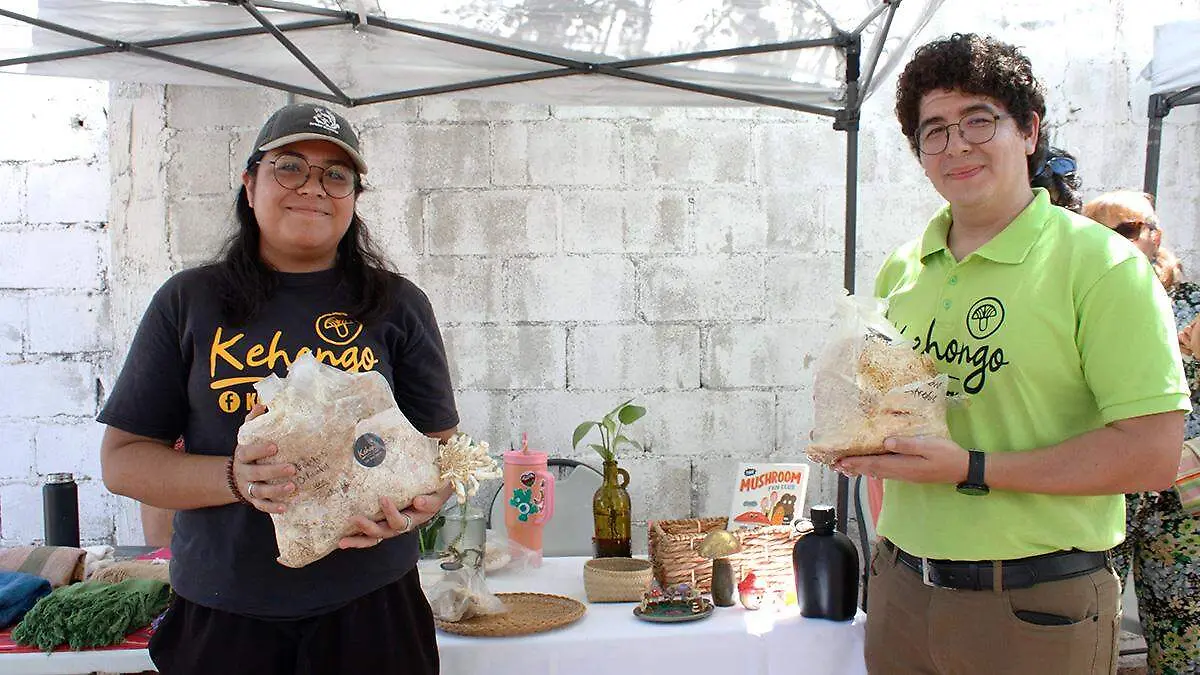 tianguis raiz de fondo