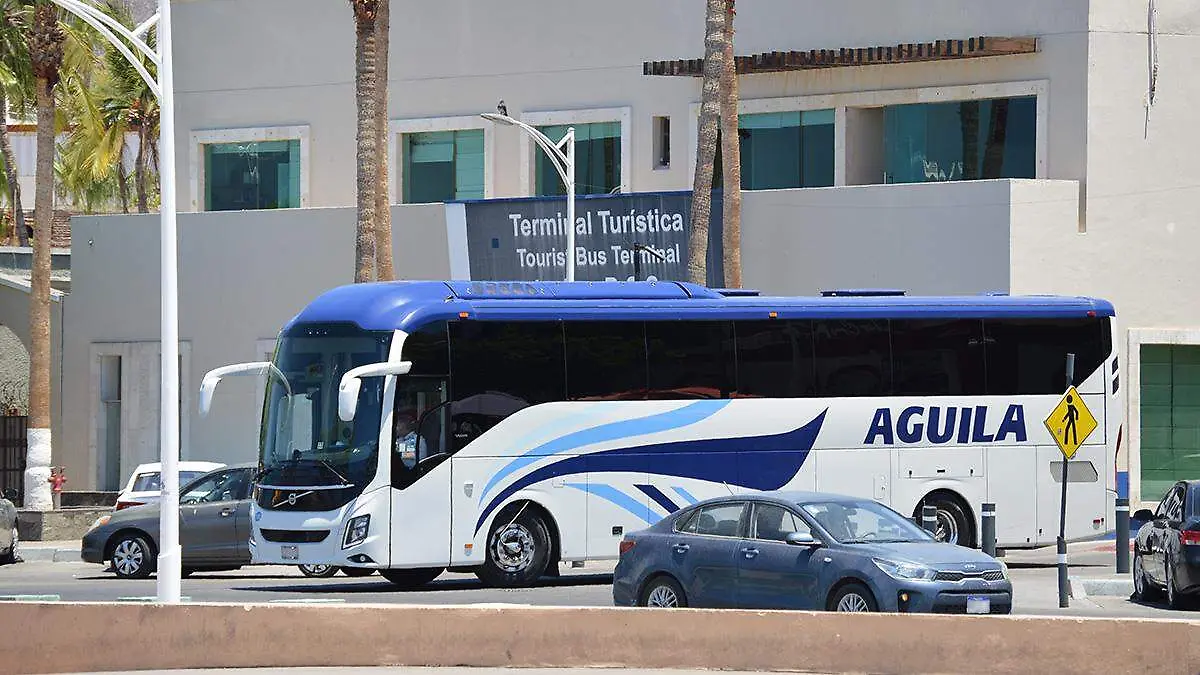 aguila1