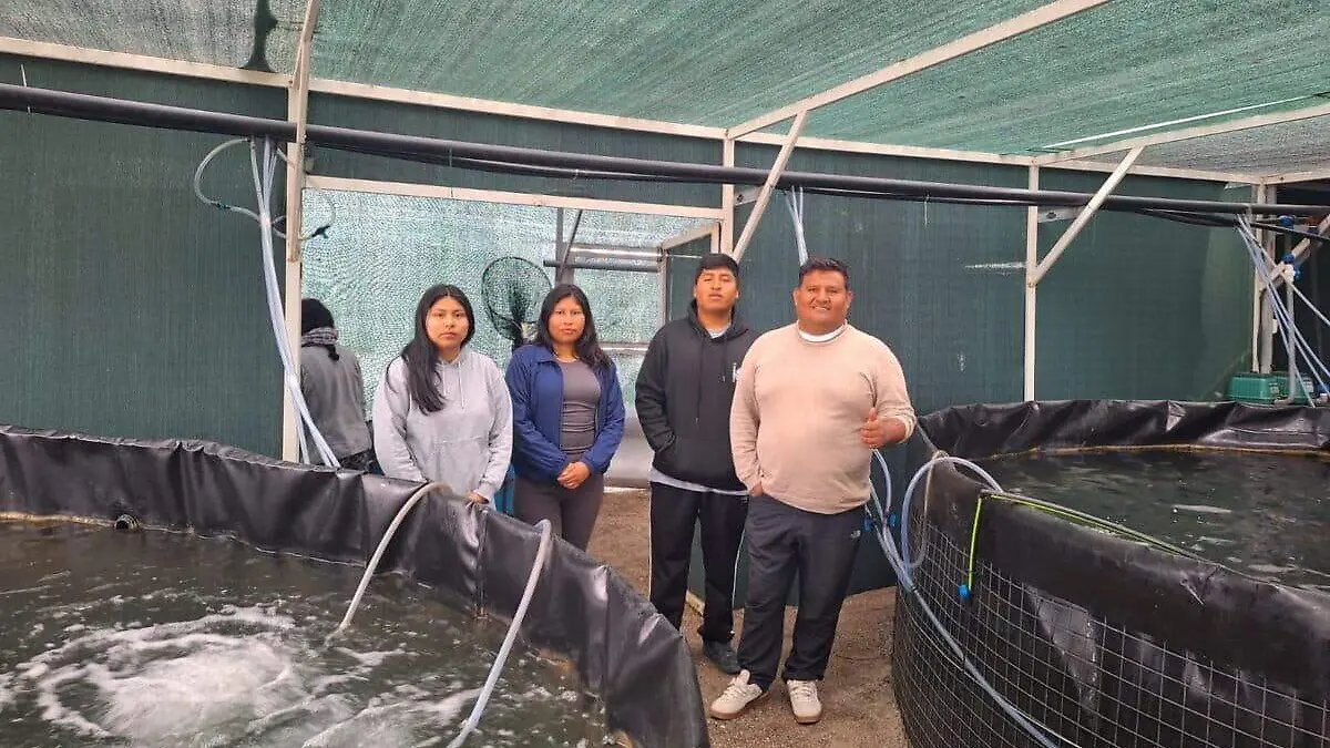 Estudiantes practicantes