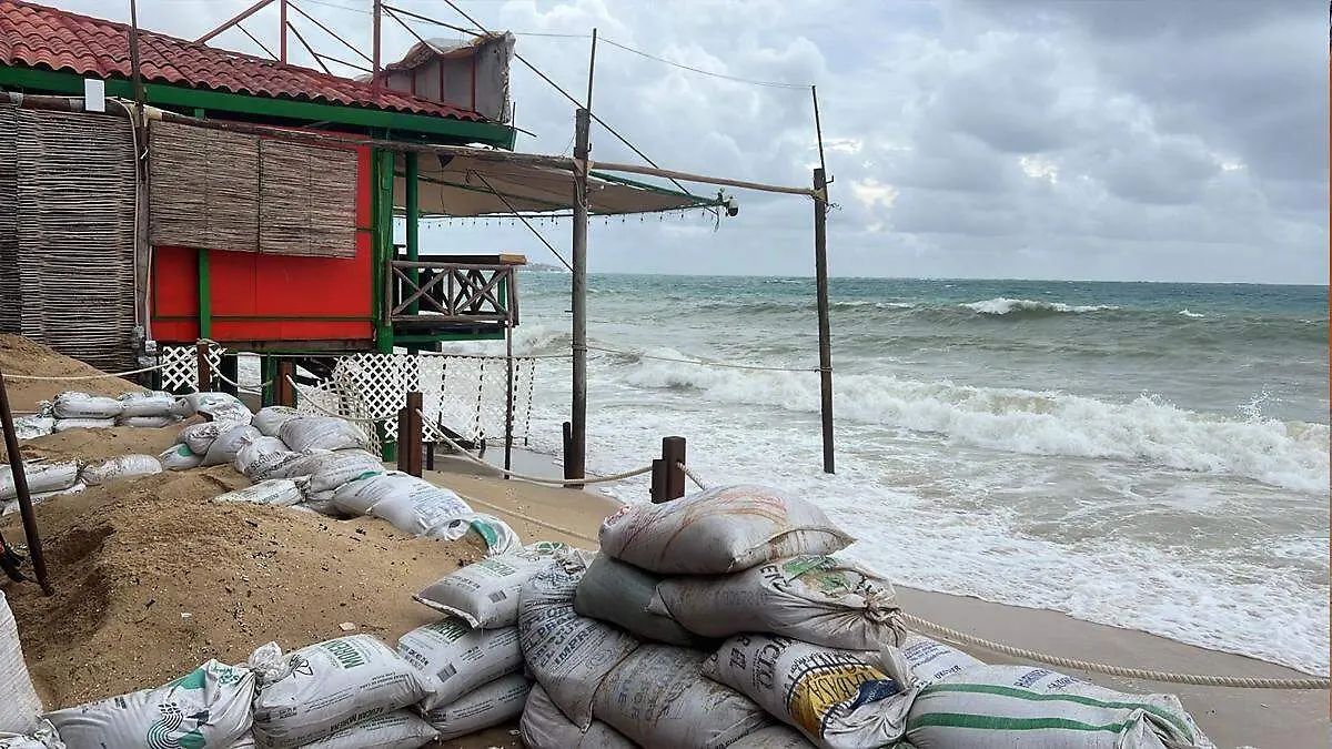 cabo-priscilla-los-cabos