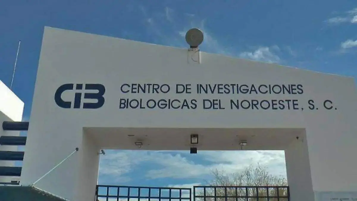 cibnor alberto cota