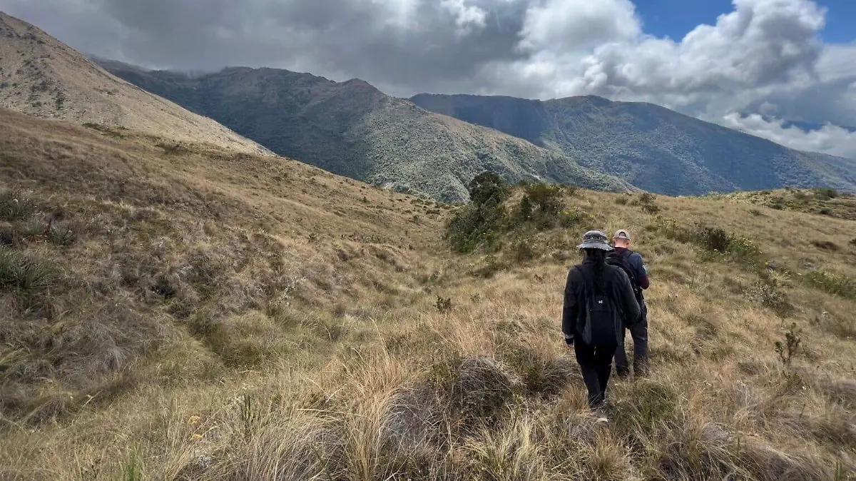 investigacion-acustica-carla-mere