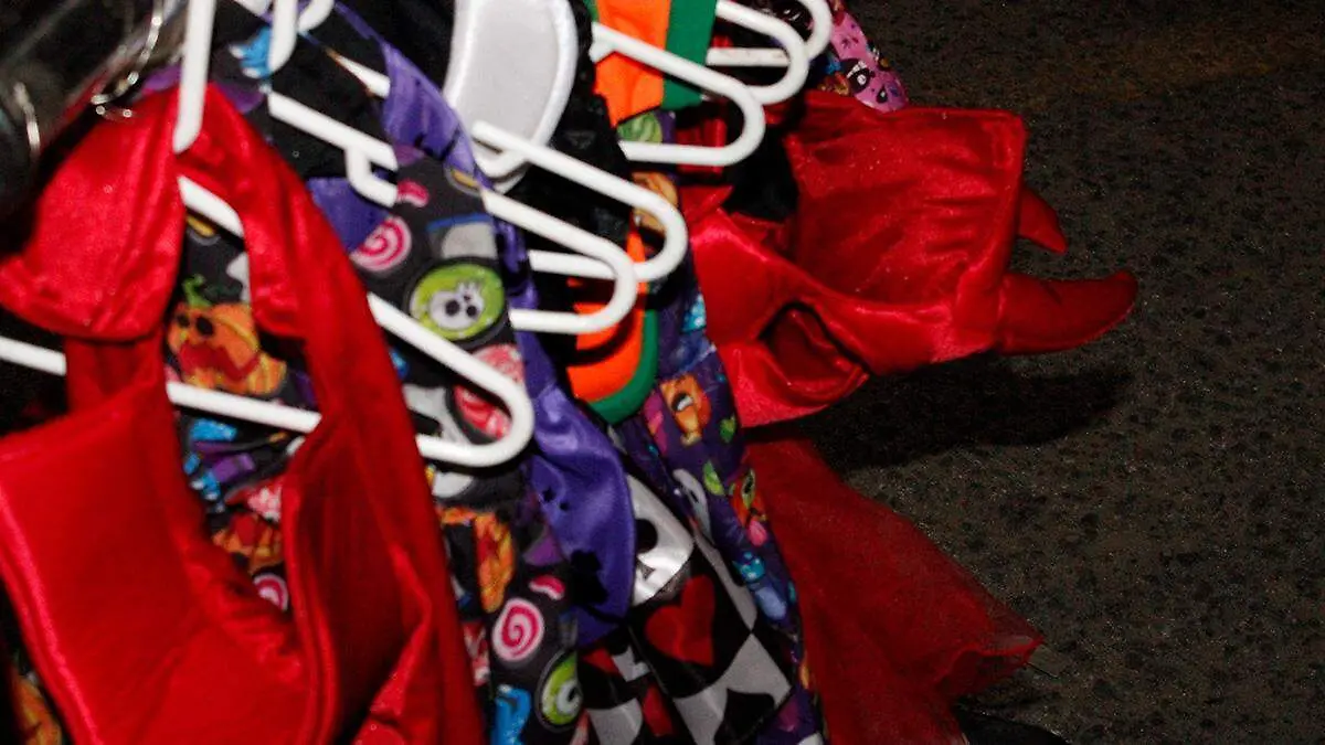 disfraces-halloween-perros