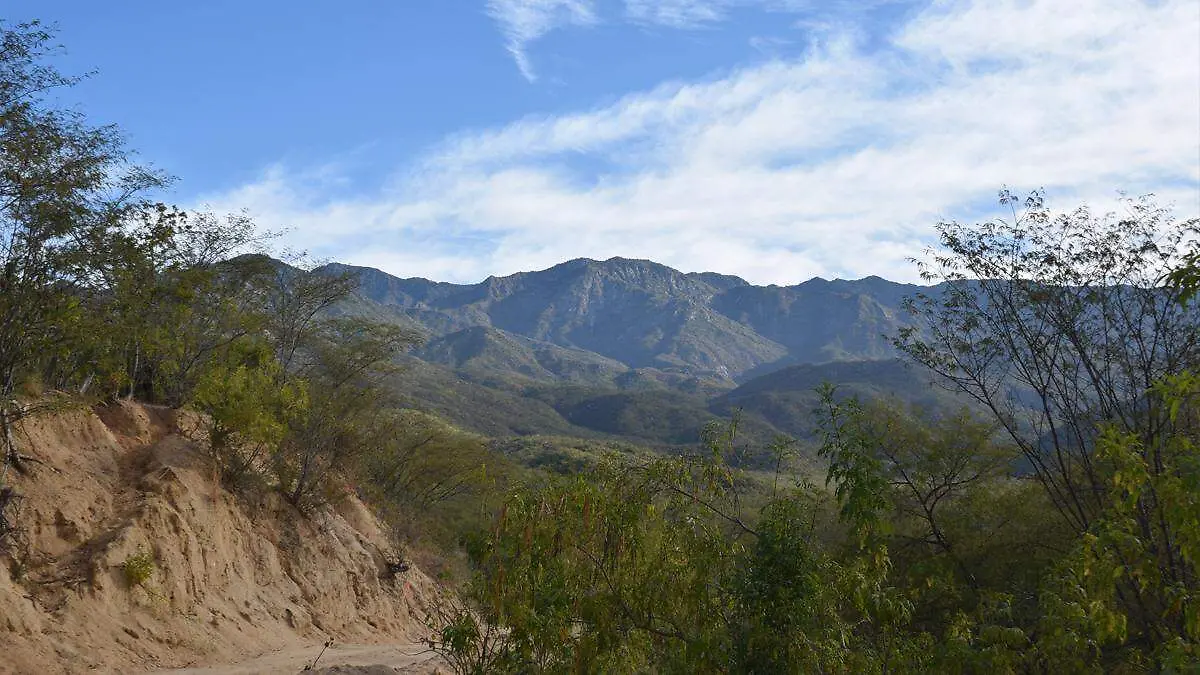 sierra la laguna alan flores vista