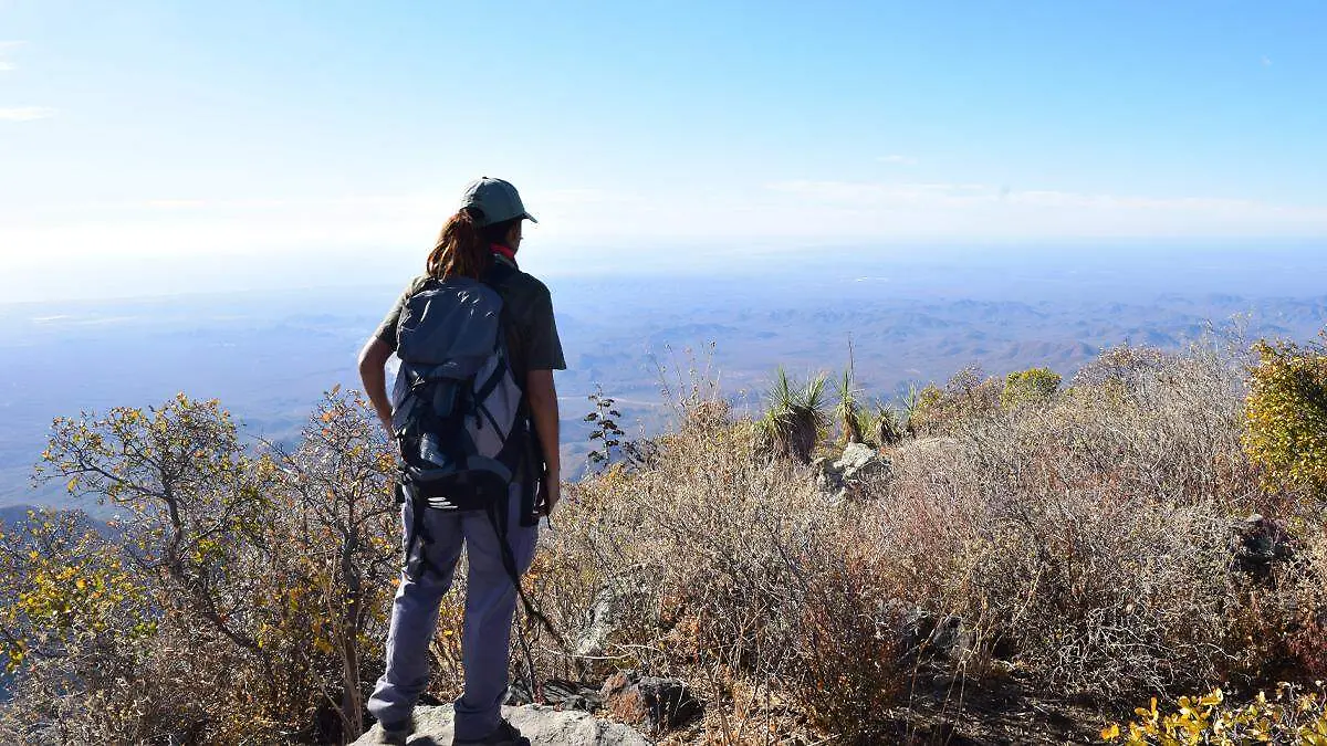 ecoturismo sierra la laguna