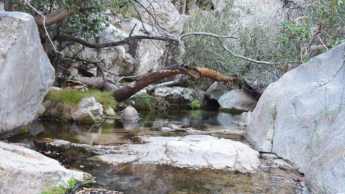 agua rio arroyo sierra la laguna