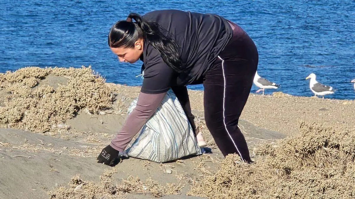 monitoreo-limpieza-sirenas-de-natividad