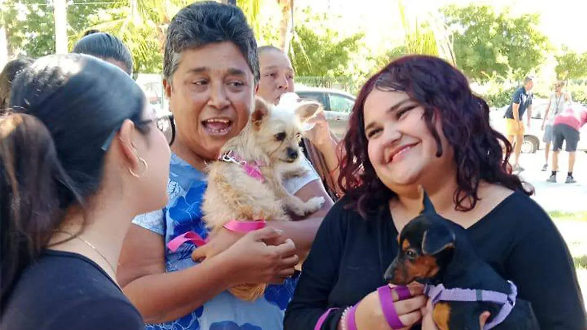 campaña-de-esterilizacion