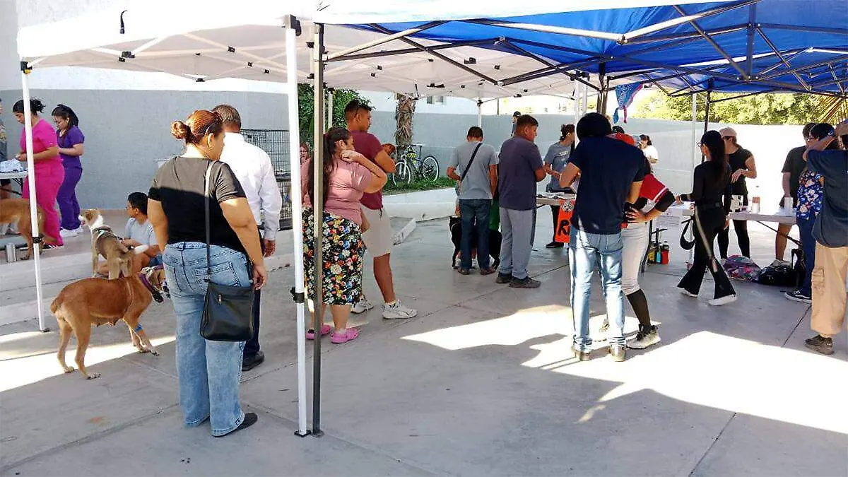 fila-campaña-de-esterelizacion