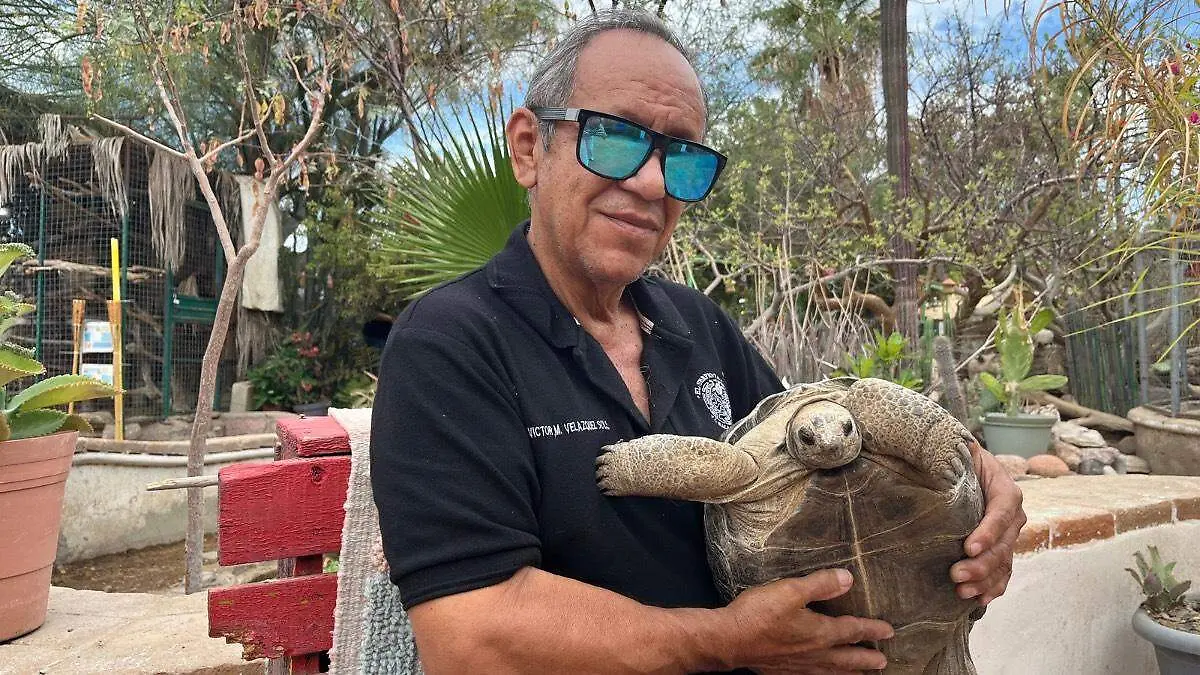 victor-velazquez-director-serpentario-la-paz-cargando-tortuga