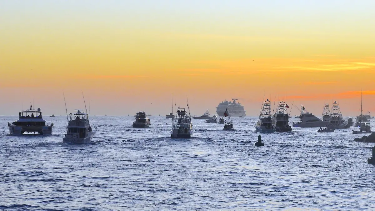 pesca deportiva en los cabos