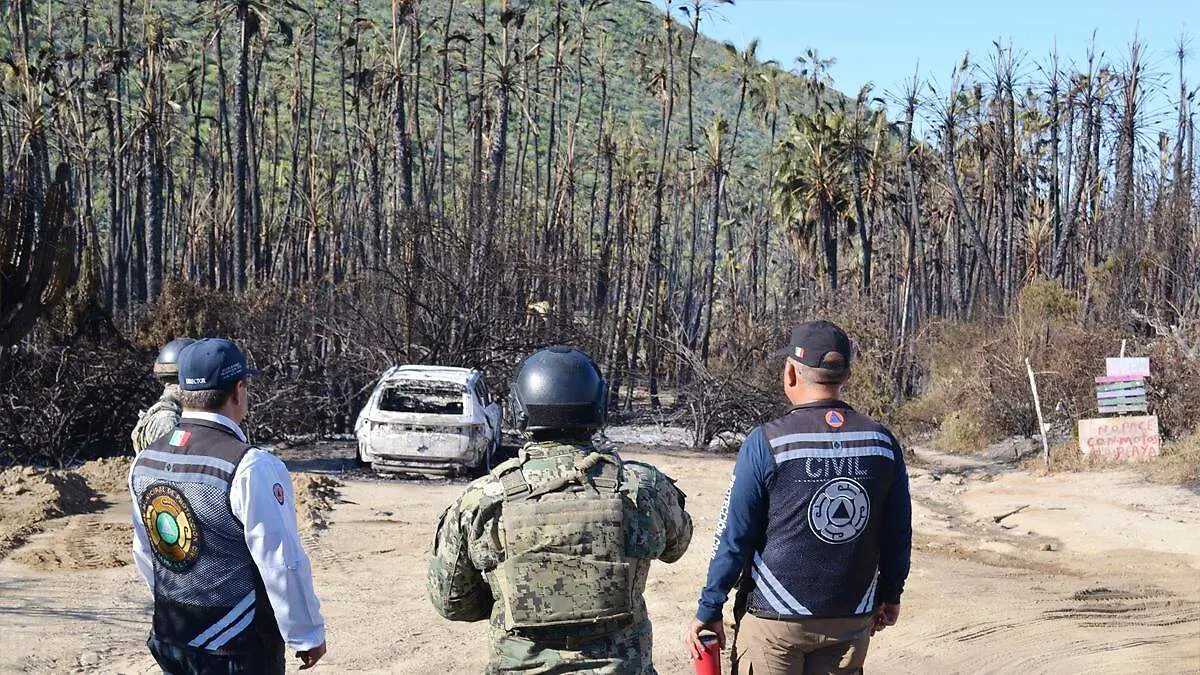 palmar san pedrito segundo dia