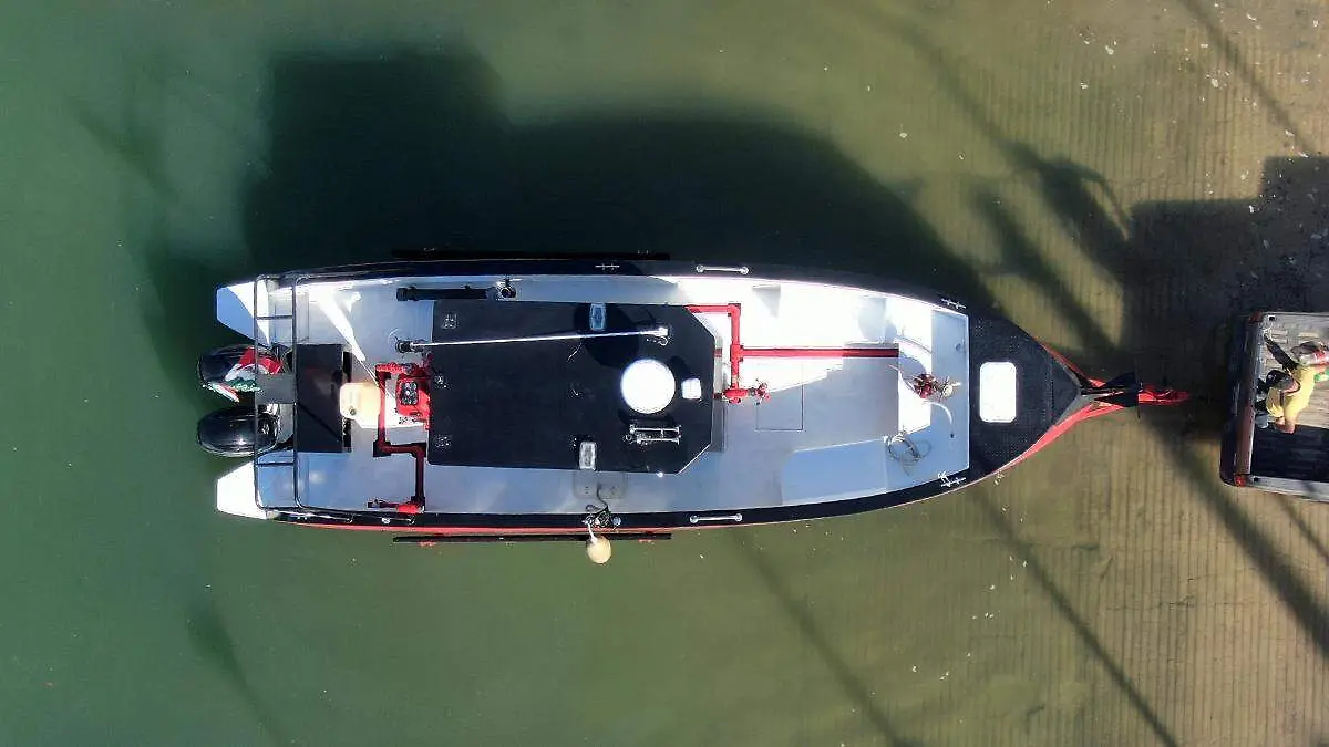 aina vista posterior