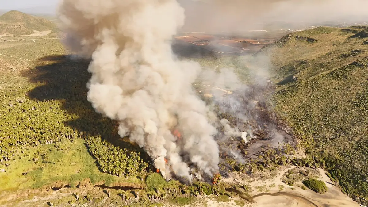 Incendio todos santos 2