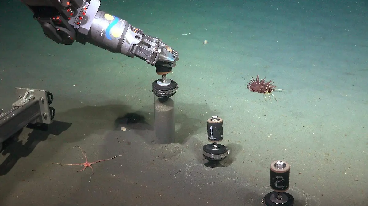 muestras del sedimento del fondo marino 1