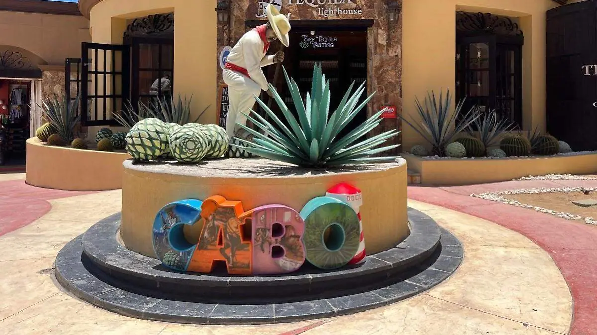 f6c64c7c-2b73-4ef0-8eef-db34eba0e229