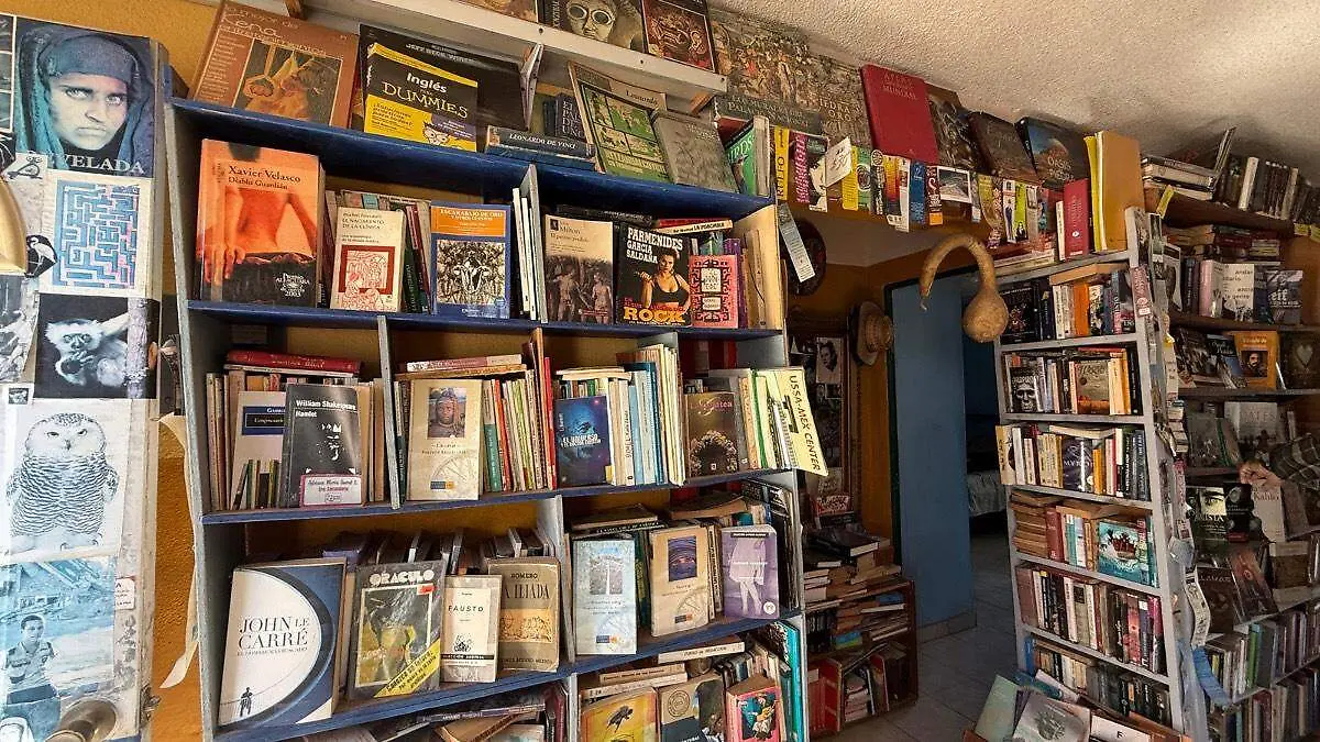 Estantes libros en libreria de la paz