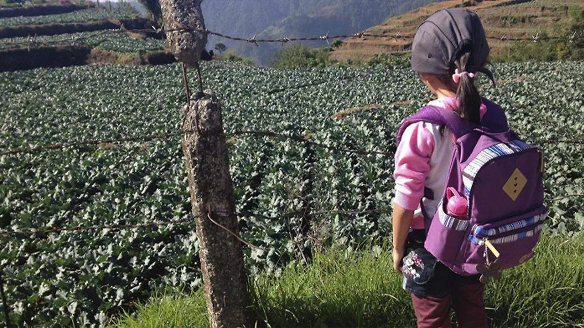 menor–campo-agricola-baja-california-sur