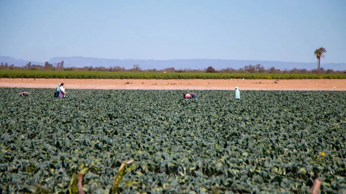 691c119c-3bb0-4389-aa42-4a902b5e00de