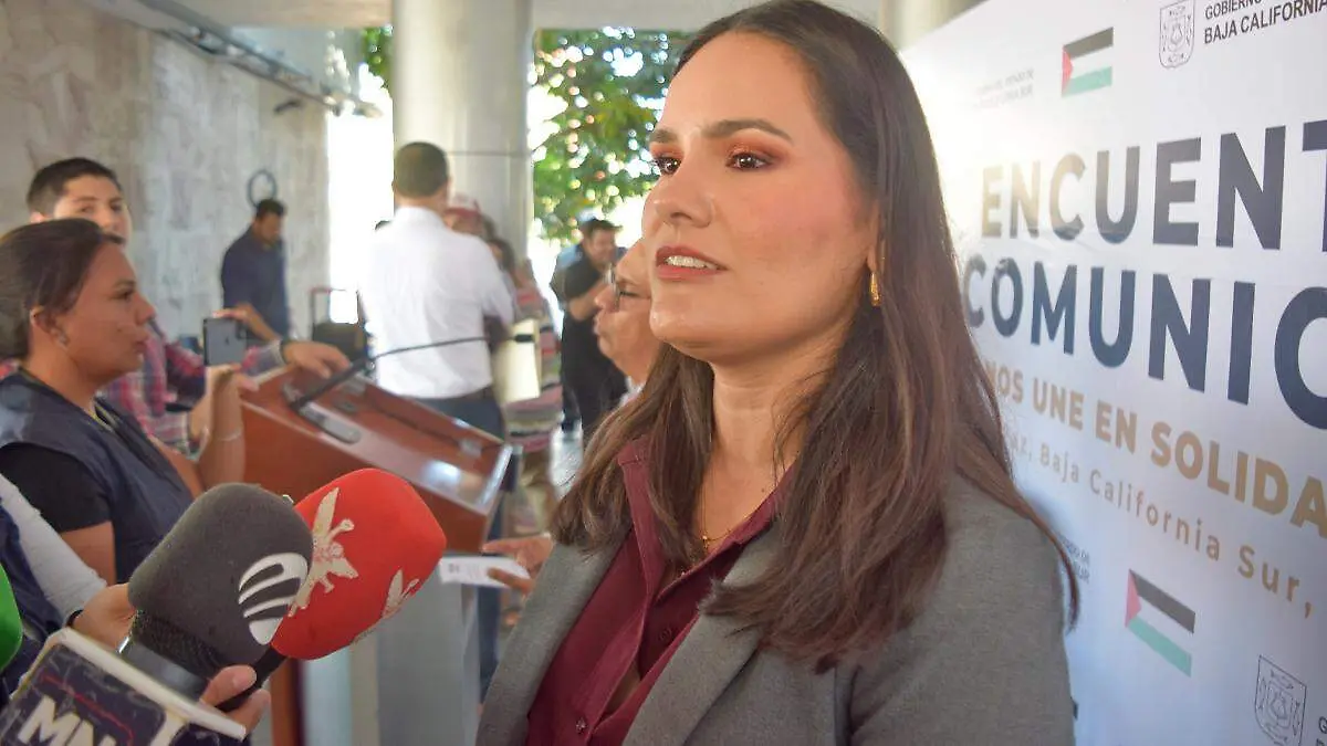 dirigente-morena-karina-gavarain