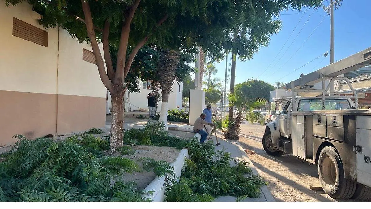 plaza-publica-leon-cota-collins-cabo-san-lucas-exterior