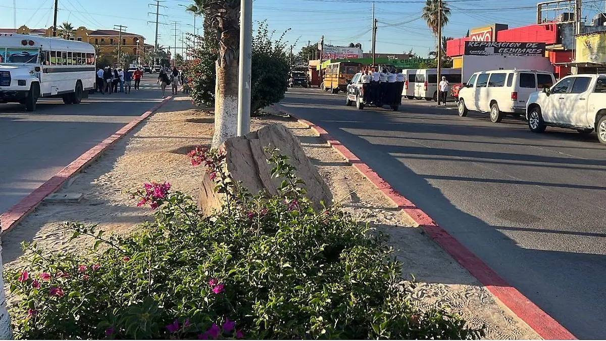 seguridad de informe los cabos