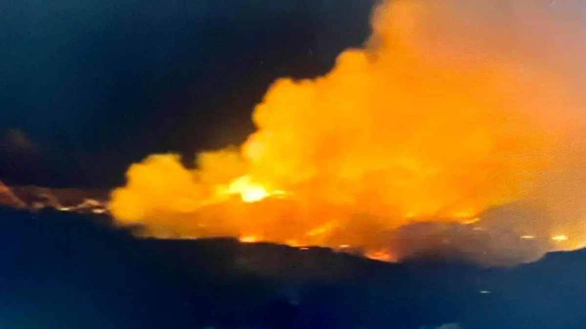 dbf704c9-b5bb-414d-85cc-ca93f50873c8