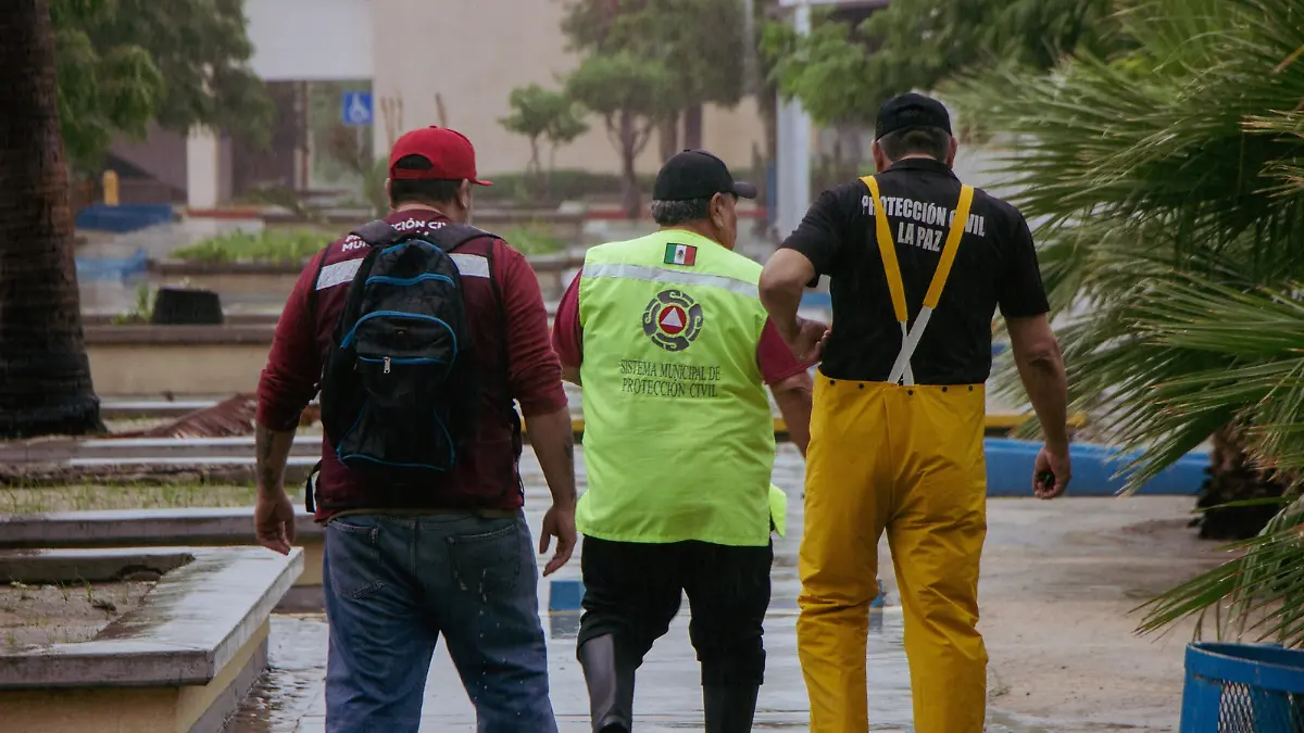 Protección civil archivo