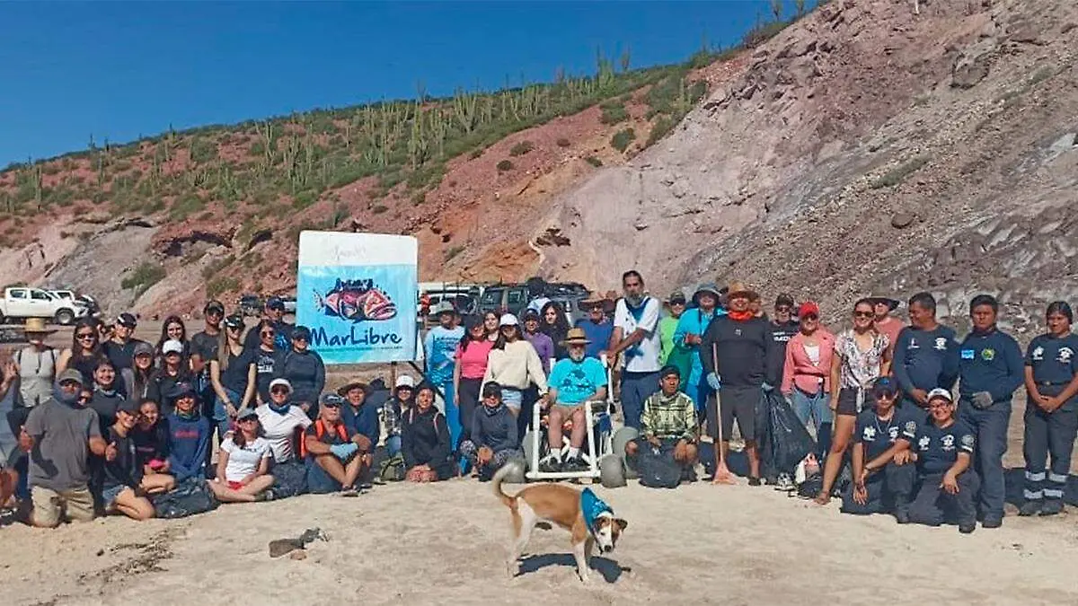 mar-libre-voluntarios