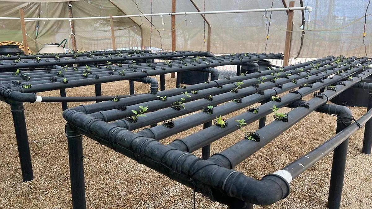 1f5d7921-759e-412f-b239-e7338dcef150