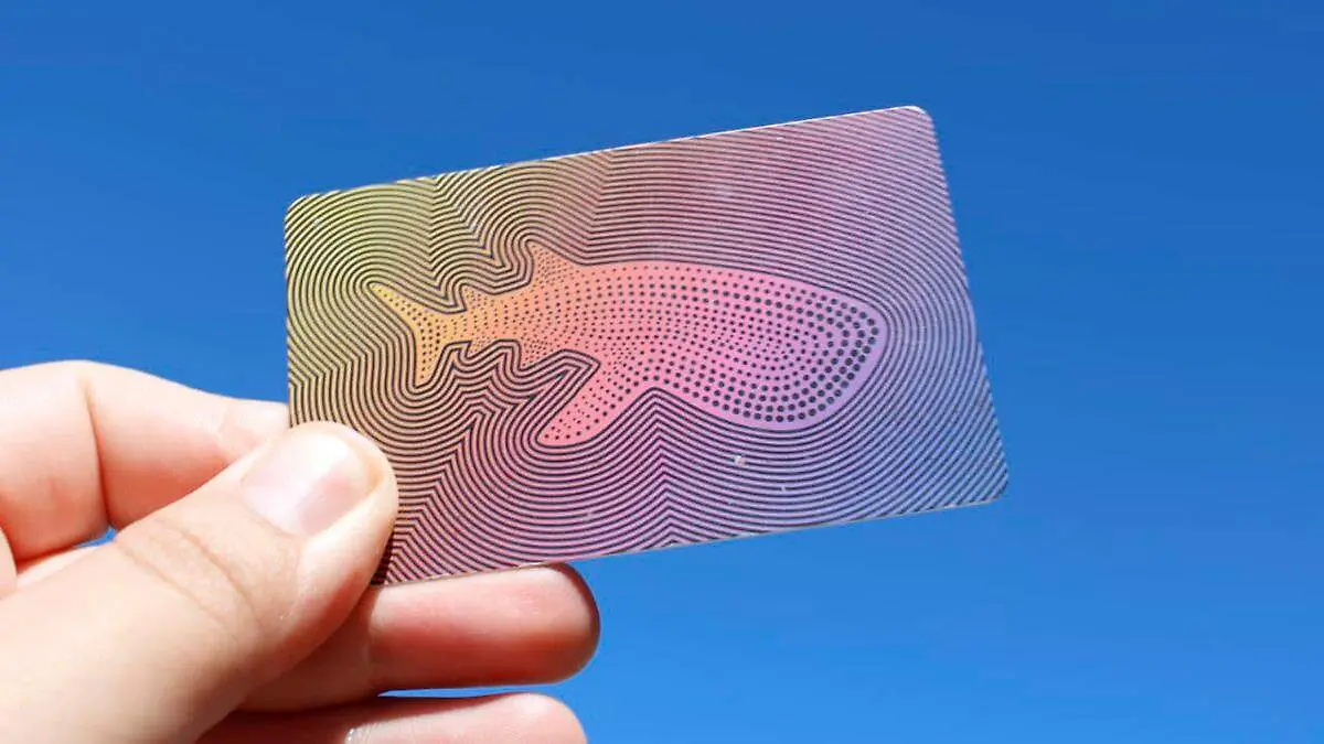 tarjeta-tiburon-urbano