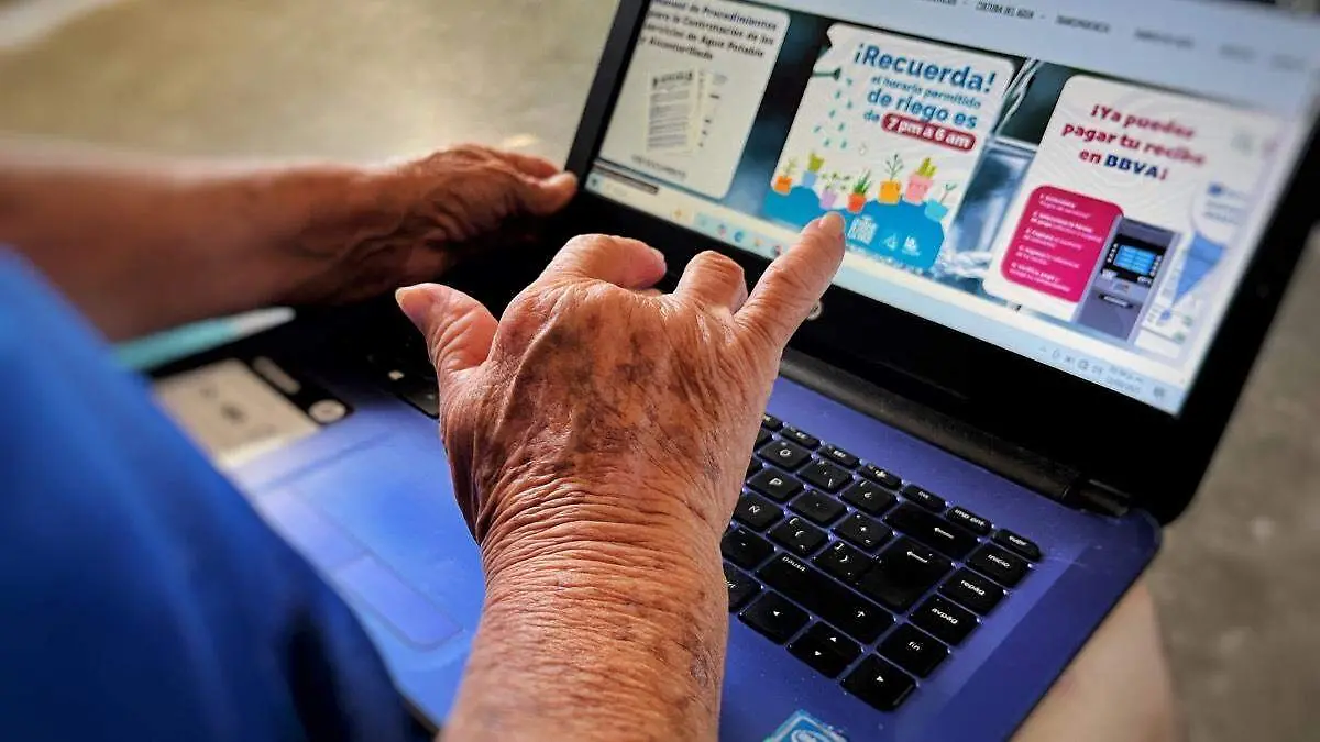 Adulta mayor computadora