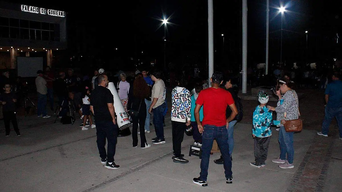 filas-noches-de-estrellas