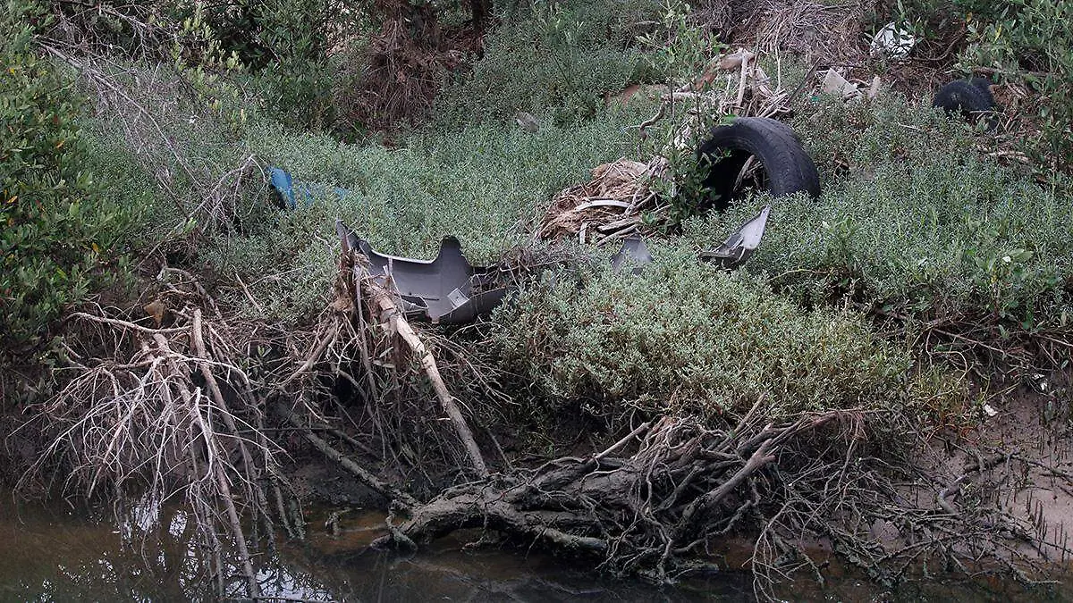 basura-manglares-el-cajoncito