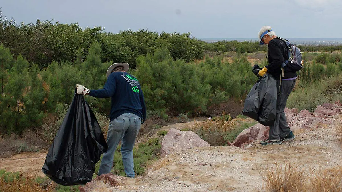 manglares-voluntarios-mar-libre