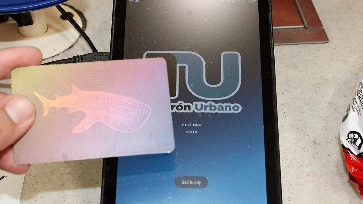 tiburon-urbano-terminal