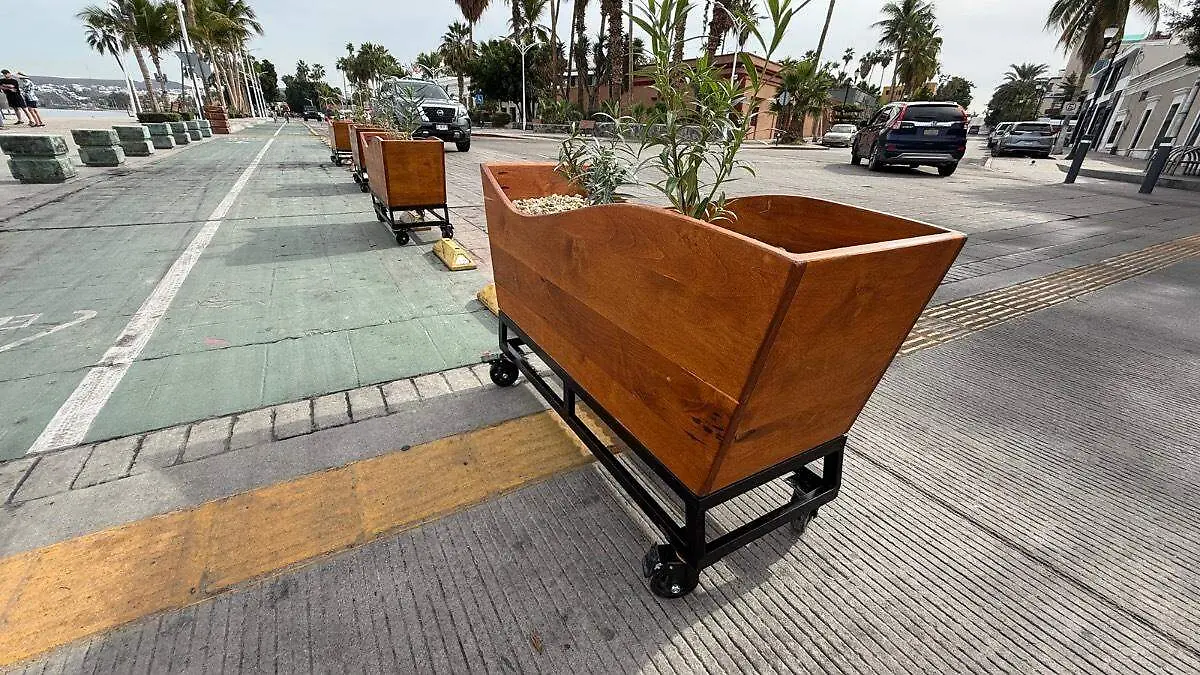 Maceteros en el malecon de la paz 1