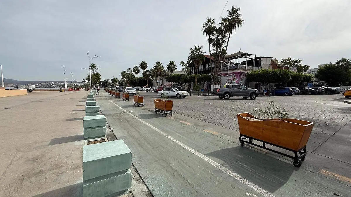 Maceteros en el malecon de la paz 3