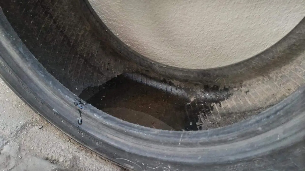 criadero-mosquitos-llanta