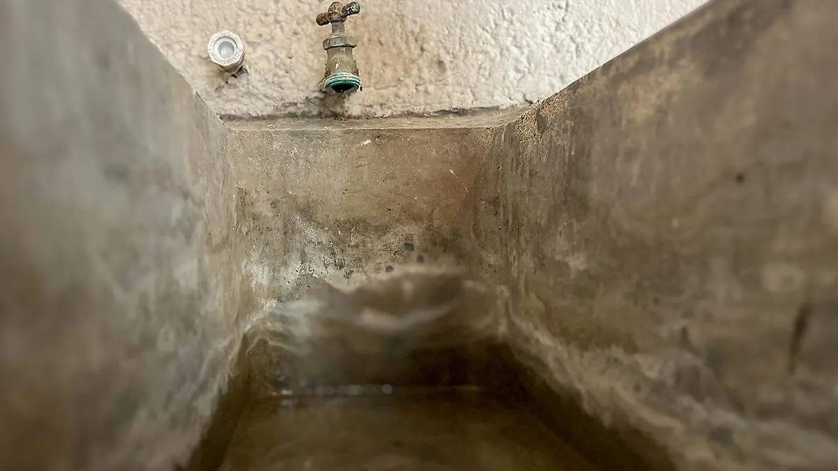 pileta-criadero-mosquitos