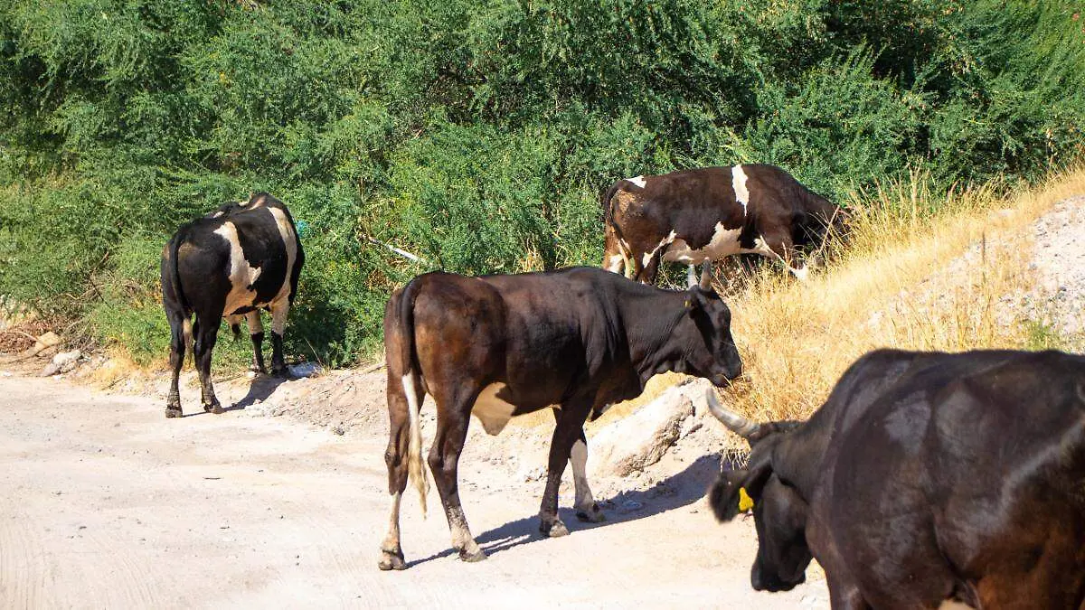 8aaf0eb8-d301-4245-ba5f-3a7bc7b75f43