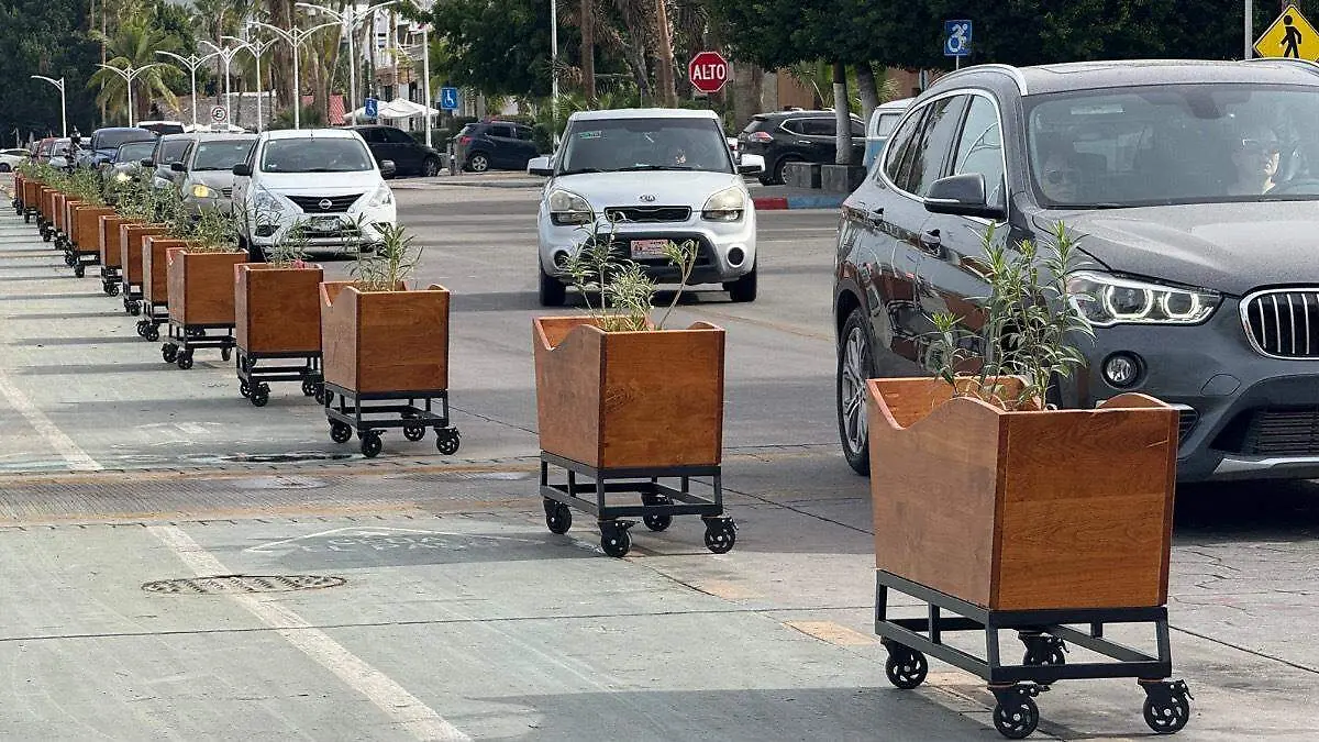 Maceteros en el malecon de la paz